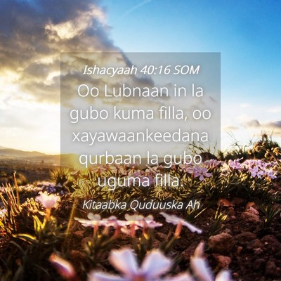 Picture 04 - Ishacyaah 40:16 SOM - Oo Lubnaan in la gubo kuma filla, oo - Bible Verse Picture