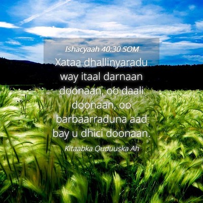 Picture 04 - Ishacyaah 40:30 SOM - Xataa dhallinyaradu way itaal darnaan doonaan, oo - Bible Verse Picture