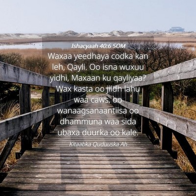 Picture 04 - Ishacyaah 40:6 SOM - Waxaa yeedhaya codka kan leh, Qayli. Oo isna - Bible Verse Picture
