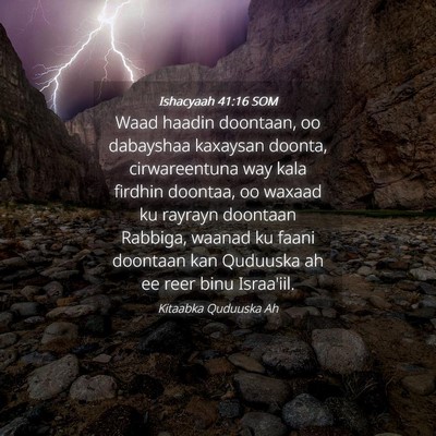 Picture 04 - Ishacyaah 41:16 SOM - Waad haadin doontaan, oo dabayshaa kaxaysan - Bible Verse Picture
