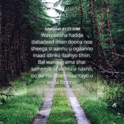 Picture 04 - Ishacyaah 41:23 SOM - Waxyaalaha hadda dabadeed iman doona noo sheega - Bible Verse Picture
