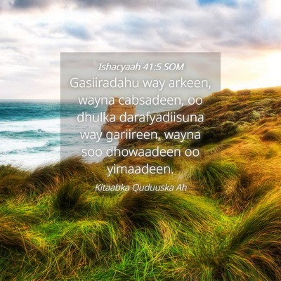 Picture 04 - Ishacyaah 41:5 SOM - Gasiiradahu way arkeen, wayna cabsadeen, oo - Bible Verse Picture