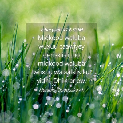Picture 04 - Ishacyaah 41:6 SOM - Midkood waluba wuxuu caawiyey deriskiisii, oo - Bible Verse Picture