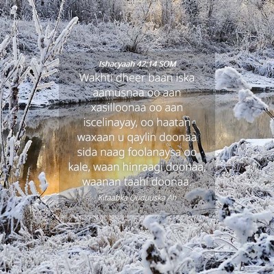 Picture 04 - Ishacyaah 42:14 SOM - Wakhti dheer baan iska aamusnaa oo aan - Bible Verse Picture