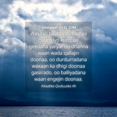 Picture 04 - Ishacyaah 42:15 SOM - Waxaan baabbi'in doonaa buuro iyo kuro, oo - Bible Verse Picture