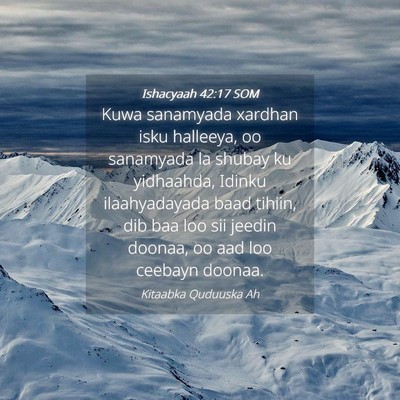 Picture 04 - Ishacyaah 42:17 SOM - Kuwa sanamyada xardhan isku halleeya, oo - Bible Verse Picture