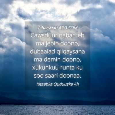 Picture 04 - Ishacyaah 42:3 SOM - Cawsduur nabar leh ma jebin doono, dubaalad - Bible Verse Picture