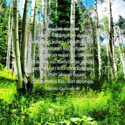 Picture 04 - Ishacyaah 42:6 SOM - Aniga Rabbiga ah ayaa xaqnimo kuugu yeedhay, oo - Bible Verse Picture