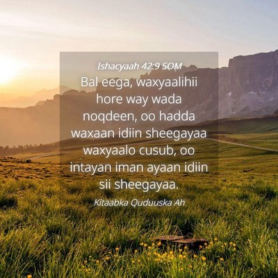 Picture 04 - Ishacyaah 42:9 SOM - Bal eega, waxyaalihii hore way wada noqdeen, oo - Bible Verse Picture