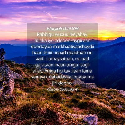 Picture 04 - Ishacyaah 43:10 SOM - Rabbigu wuxuu leeyahay, Idinka iyo addoonkaygii - Bible Verse Picture
