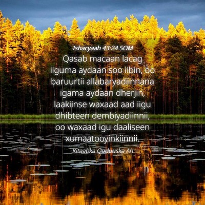 Picture 04 - Ishacyaah 43:24 SOM - Qasab macaan lacag iiguma aydaan soo iibin, oo - Bible Verse Picture