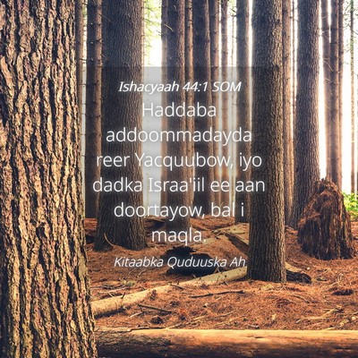 Picture 04 - Ishacyaah 44:1 SOM - Haddaba addoommadayda reer Yacquubow, iyo dadka - Bible Verse Picture