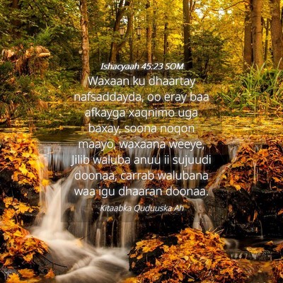 Picture 04 - Ishacyaah 45:23 SOM - Waxaan ku dhaartay nafsaddayda, oo eray baa - Bible Verse Picture