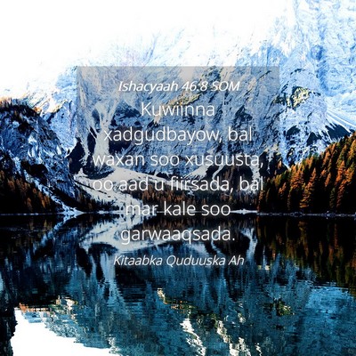 Picture 04 - Ishacyaah 46:8 SOM - Kuwiinna xadgudbayow, bal waxan soo xusuusta, oo - Bible Verse Picture
