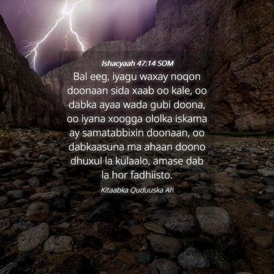 Picture 04 - Ishacyaah 47:14 SOM - Bal eeg, iyagu waxay noqon doonaan sida xaab oo - Bible Verse Picture