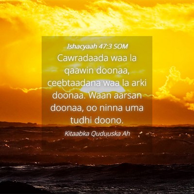 Picture 04 - Ishacyaah 47:3 SOM - Cawradaada waa la qaawin doonaa, ceebtaadana waa - Bible Verse Picture