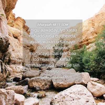 Picture 04 - Ishacyaah 48:11 SOM - Anigu aawaday, iyo xataa nafsaddayda qudheeda, - Bible Verse Picture