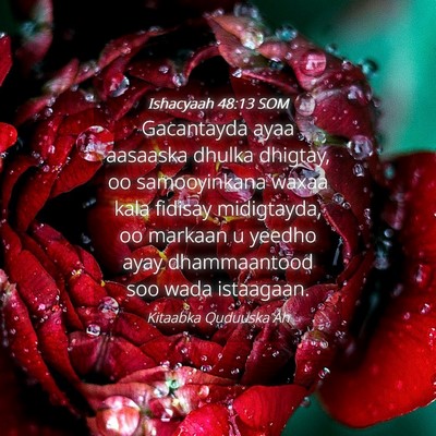 Picture 04 - Ishacyaah 48:13 SOM - Gacantayda ayaa aasaaska dhulka dhigtay, oo - Bible Verse Picture