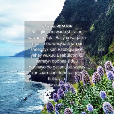 Picture 04 - Ishacyaah 48:14 SOM - Kulligiin soo wada shira oo waxan maqla. Bal yaa - Bible Verse Picture