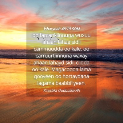 Picture 04 - Ishacyaah 48:19 SOM - oo farcankiinnuna wuxuu ahaan lahaa sidii - Bible Verse Picture