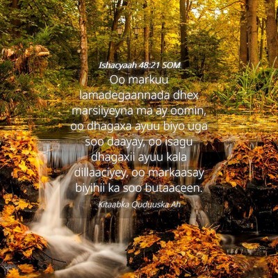 Picture 04 - Ishacyaah 48:21 SOM - Oo markuu lamadegaannada dhex marsiiyeyna ma ay - Bible Verse Picture