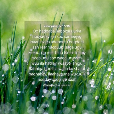 Picture 04 - Ishacyaah 49:5 SOM - Oo haddaba Rabbigii uurka hooyaday iga soo - Bible Verse Picture