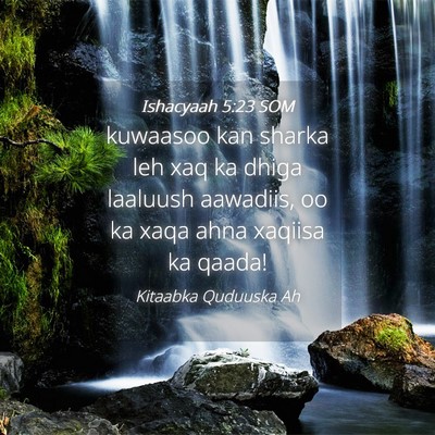 Picture 04 - Ishacyaah 5:23 SOM - kuwaasoo kan sharka leh xaq ka dhiga laaluush - Bible Verse Picture
