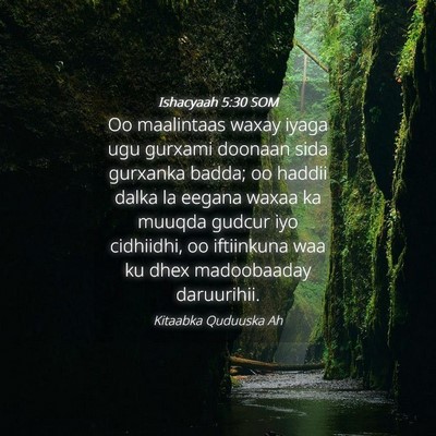 Picture 04 - Ishacyaah 5:30 SOM - Oo maalintaas waxay iyaga ugu gurxami doonaan - Bible Verse Picture