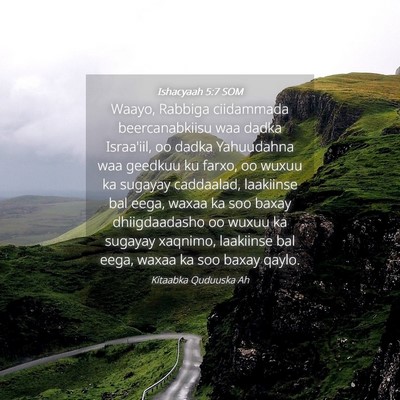 Picture 04 - Ishacyaah 5:7 SOM - Waayo, Rabbiga ciidammada beercanabkiisu waa - Bible Verse Picture