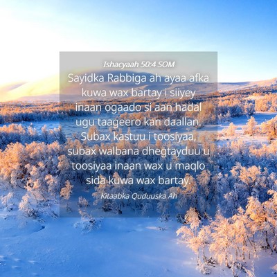 Picture 04 - Ishacyaah 50:4 SOM - Sayidka Rabbiga ah ayaa afka kuwa wax bartay i - Bible Verse Picture