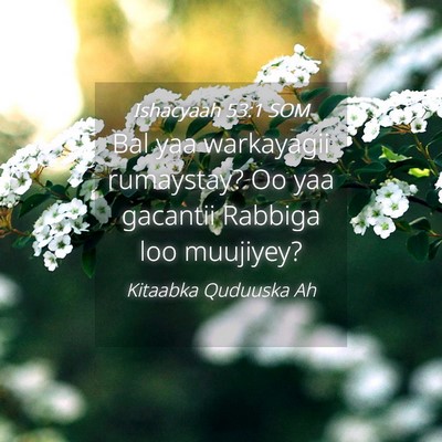 Picture 04 - Ishacyaah 53:1 SOM - Bal yaa warkayagii rumaystay? Oo yaa gacantii - Bible Verse Picture