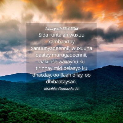 Picture 04 - Ishacyaah 53:4 SOM - Sida runta ah wuxuu xambaartay xanuunyadeennii, - Bible Verse Picture