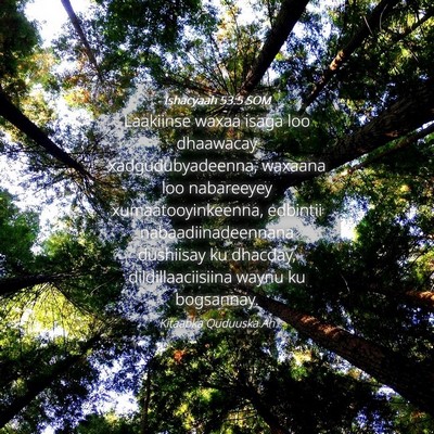 Picture 04 - Ishacyaah 53:5 SOM - Laakiinse waxaa isaga loo dhaawacay - Bible Verse Picture
