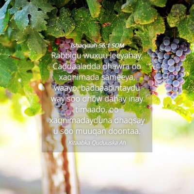 Picture 04 - Ishacyaah 56:1 SOM - Rabbigu wuxuu leeyahay, Caddaaladda dhawra oo - Bible Verse Picture