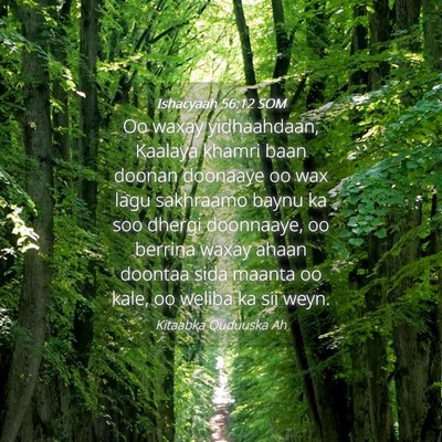 Picture 04 - Ishacyaah 56:12 SOM - Oo waxay yidhaahdaan, Kaalaya khamri baan doonan - Bible Verse Picture