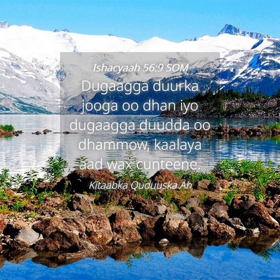 Picture 04 - Ishacyaah 56:9 SOM - Dugaagga duurka jooga oo dhan iyo dugaagga duudda - Bible Verse Picture