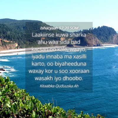 Picture 04 - Ishacyaah 57:20 SOM - Laakiinse kuwa sharka ahu waa sida bad kacsan oo - Bible Verse Picture