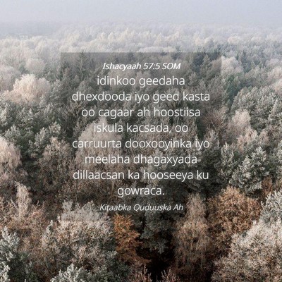 Picture 04 - Ishacyaah 57:5 SOM - idinkoo geedaha dhexdooda iyo geed kasta oo - Bible Verse Picture