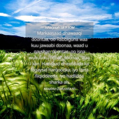 Picture 04 - Ishacyaah 58:9 SOM - Markaasaad dhawaaqi doontaa, oo Rabbiguna waa kuu - Bible Verse Picture