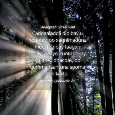 Picture 04 - Ishacyaah 59:14 SOM - Caddaaladdii dib bay u noqotay, oo xaqnimaduna - Bible Verse Picture