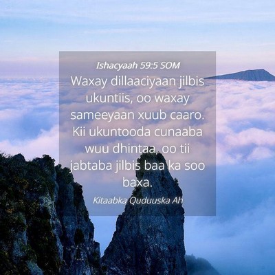 Picture 04 - Ishacyaah 59:5 SOM - Waxay dillaaciyaan jilbis ukuntiis, oo waxay - Bible Verse Picture