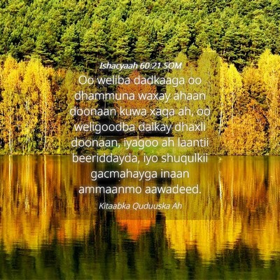 Picture 04 - Ishacyaah 60:21 SOM - Oo weliba dadkaaga oo dhammuna waxay ahaan - Bible Verse Picture
