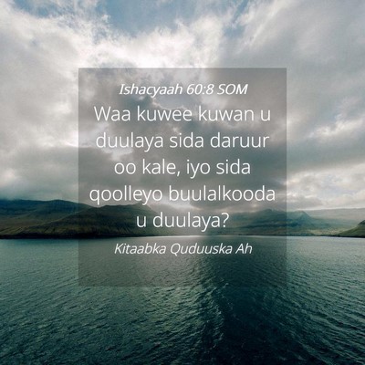 Picture 04 - Ishacyaah 60:8 SOM - Waa kuwee kuwan u duulaya sida daruur oo kale, - Bible Verse Picture