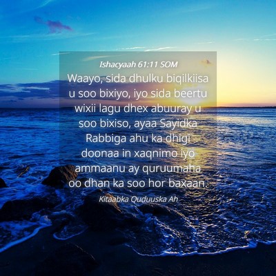 Picture 04 - Ishacyaah 61:11 SOM - Waayo, sida dhulku biqilkiisa u soo bixiyo, iyo - Bible Verse Picture