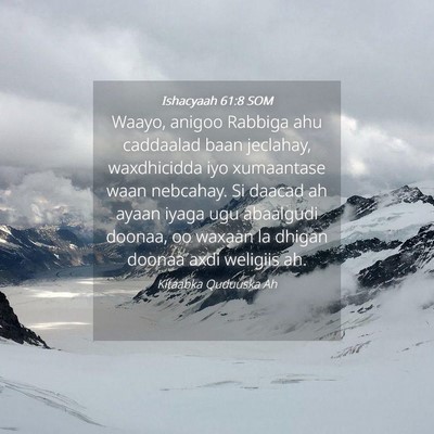 Picture 04 - Ishacyaah 61:8 SOM - Waayo, anigoo Rabbiga ahu caddaalad baan - Bible Verse Picture