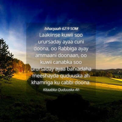 Picture 04 - Ishacyaah 62:9 SOM - Laakiinse kuwii soo urursaday ayaa cuni doona, oo - Bible Verse Picture