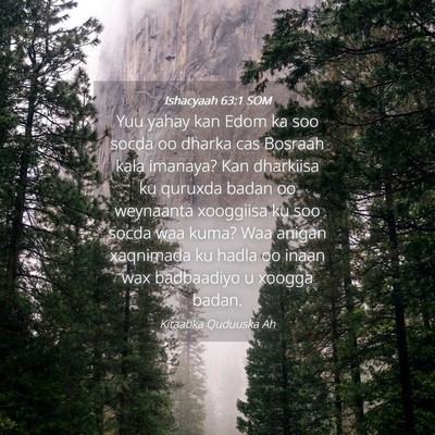 Picture 04 - Ishacyaah 63:1 SOM - Yuu yahay kan Edom ka soo socda oo dharka cas - Bible Verse Picture