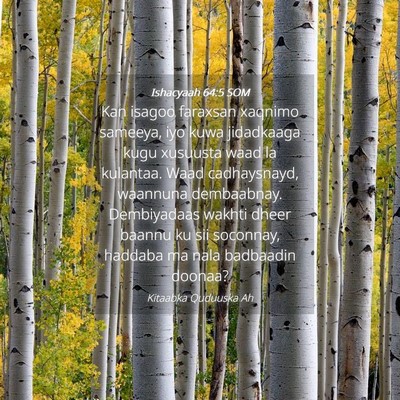 Picture 04 - Ishacyaah 64:5 SOM - Kan isagoo faraxsan xaqnimo sameeya, iyo kuwa - Bible Verse Picture