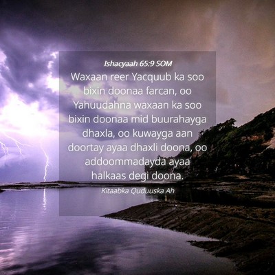 Picture 04 - Ishacyaah 65:9 SOM - Waxaan reer Yacquub ka soo bixin doonaa farcan, - Bible Verse Picture
