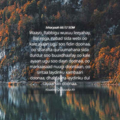 Picture 04 - Ishacyaah 66:12 SOM - Waayo, Rabbigu wuxuu leeyahay, Bal eega, nabad - Bible Verse Picture